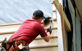 Best Vinyl Siding Installation  in Carroll, IA